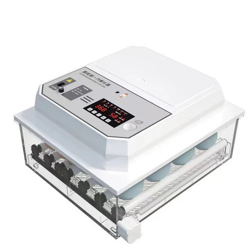 Piccola incubatrice domestica - piccola,