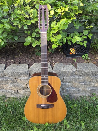 Chitarra acustica vintage