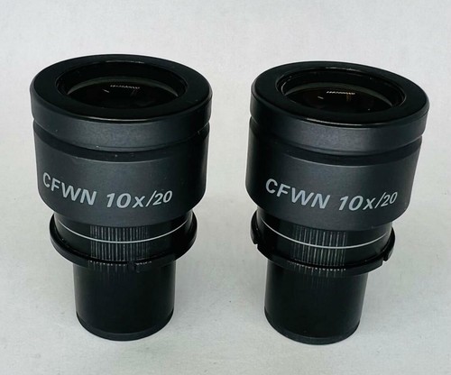 Coppia oculari microscopio - di,