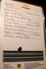 BJORK Cambridge live  DVD 14 tracce One little indian