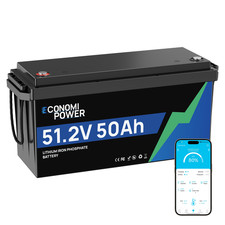 Batteria 48V 50Ah LiFePO4