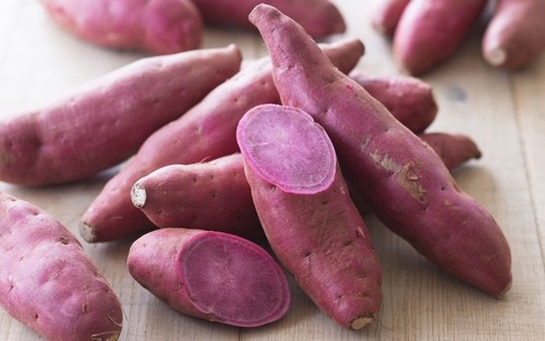Fresh japanese sweet purple - japanese,