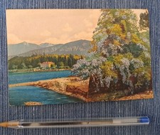 Cartolina Illustrata - lago di