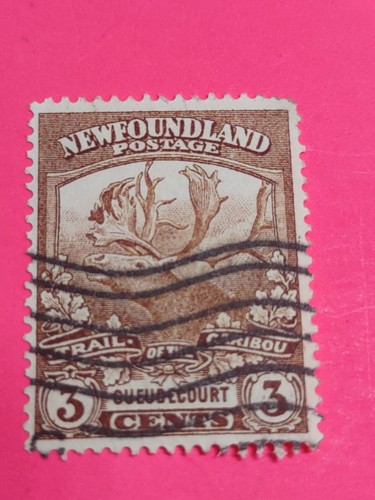 Newfoundland 1919 caribou - newfoundland, ,