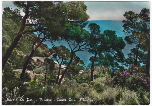 Varazze savona pineta - varazze,