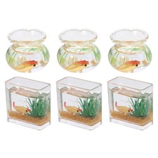 6 pezzi mini acquario modello