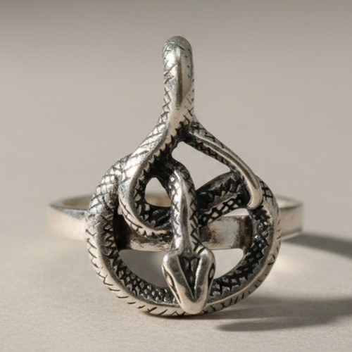 Anello serpente argento - anello, in
