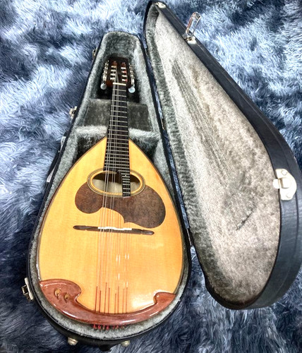Suzuki mandolino - suzuki,