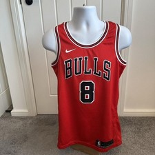 Chicago Bulls Icon Edition