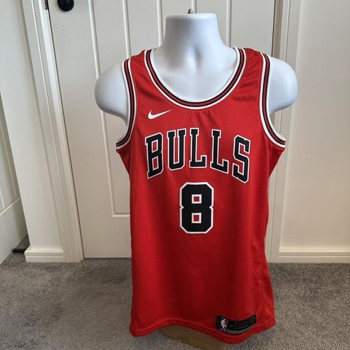 Chicago bulls icon - bulls,