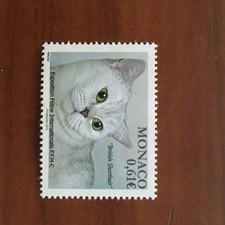 Monaco Num 2910 ** MNH Gatto