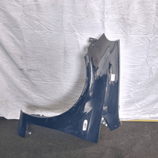 6000630350 Parafango ant. SX