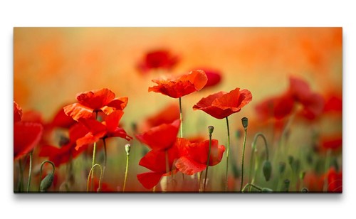 Quadro tela 120x60 cm - tela,