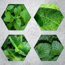 Tagliere menta verde vetro