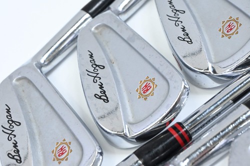 Ben hogan apex plus ferri - plus,