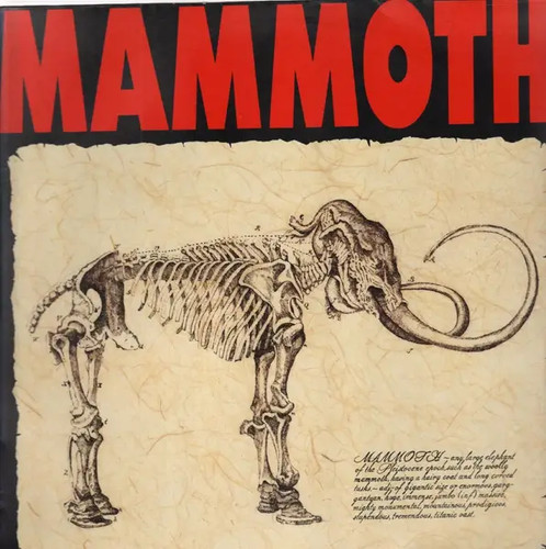 Mammoth jive vinyl 12 - lp,