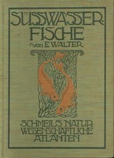 Walter I nostri pesci d'acqua