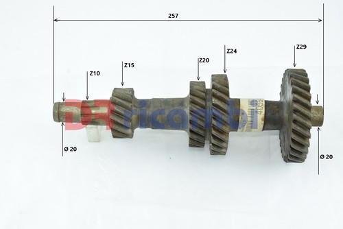 Ingranaggio cambio albero - ingranaggio,