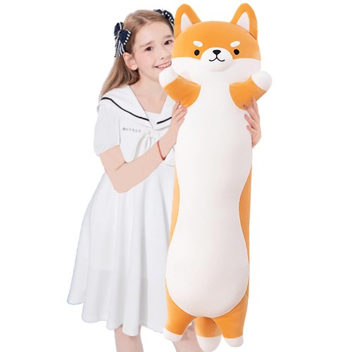 Aiuidun lungo shiba inu - lungo,