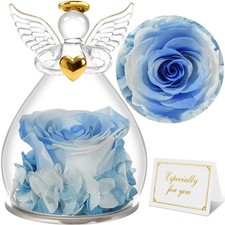 Sunia Rosa Eterna Regalo Donna