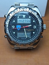 NORTH EAGLES DPW ANALOGICO