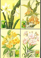 Sao Tome 1979 Fiori Piante Ornamentali Giardino Botanico Natura 6 Maxicard