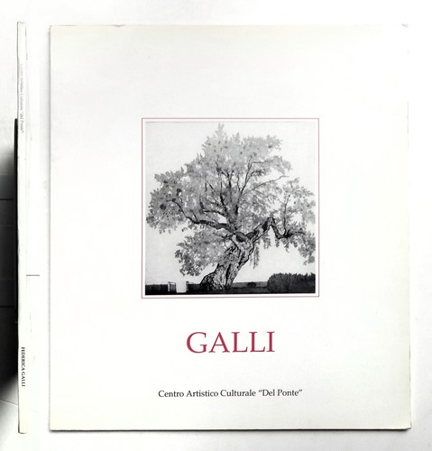Federica galli centro - federica,