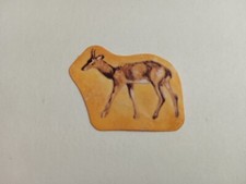 FIGURINA IL MONDO DEGLI