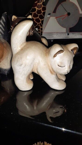 Gatto thun fuori produzione - fuori,