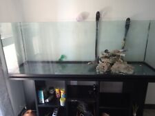 Acquario in vetro aperto 400 litri con filtro e mobile 