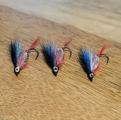 12 barbless scarafaggi - barbless,