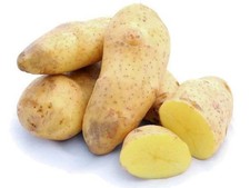 patate da seme varieta spunte
