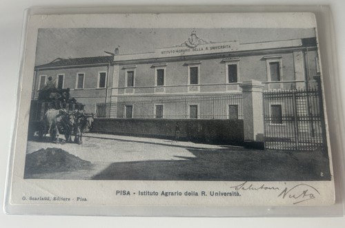 Cartolina pisa carro con buoi - cartolina,