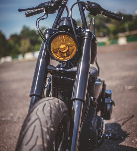 Copri forcelle per sportster - forcelle,