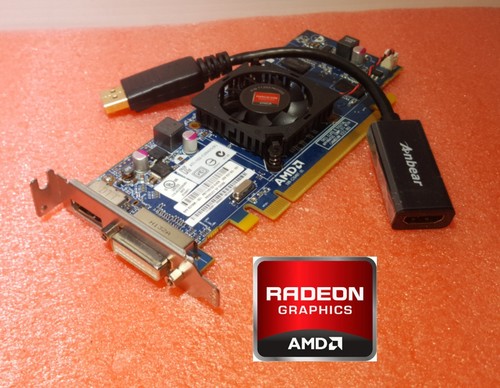 Scheda video radeon - video, dvi