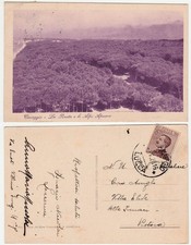 VIAREGGIO - LUCCA - LA PINETA