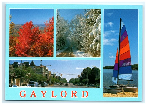 Cartolina gaylord michigan - cartolina,