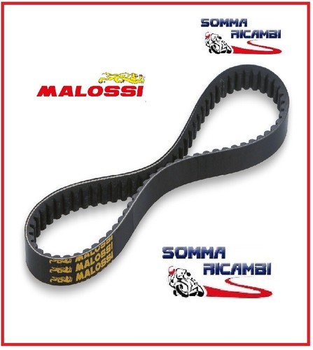 Cinghia malossi 6111246 - malossi, vespa