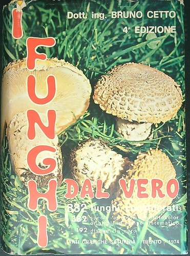 Funghi dal vero quarta - funghi,