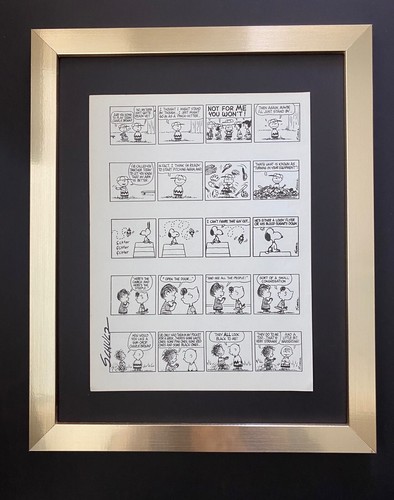 Charles schulz cartone - charles,