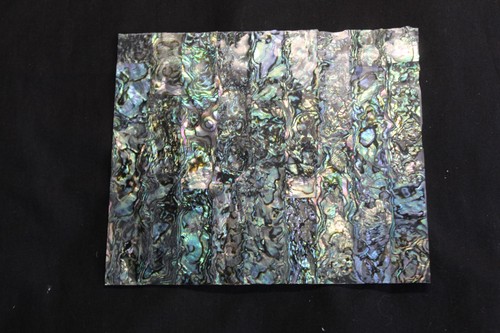 Green abalone thin - green,