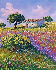 COMPRALO SUBITO 45 EURO  25x30