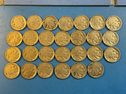 Buffalo nickel collezione - nickel,