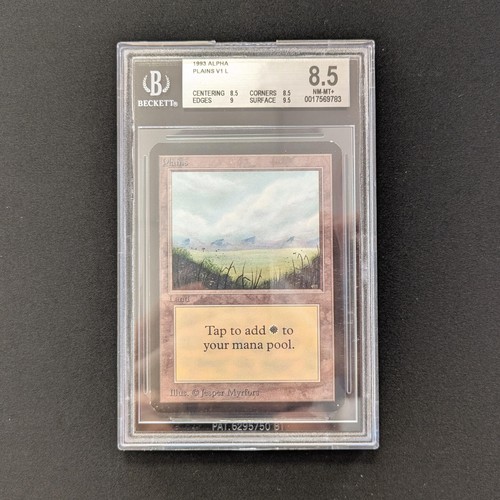 Mtg plains bgs - plains, (bgs
