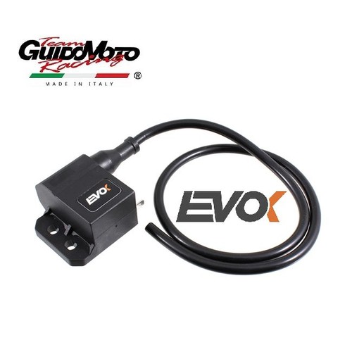 Centralina elettronica volt - centralina,