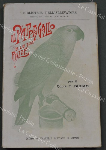 Budan emilio il - (pappagalli),