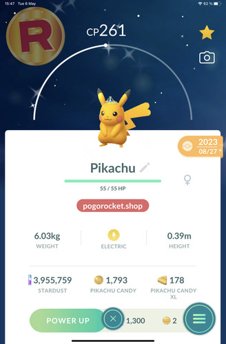 Shiny pikachu blue - pikachu, tiara
