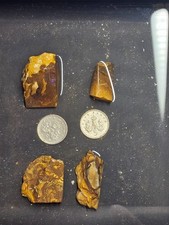 Gambo d'azzardo opale grezzo masso australiano 210 ct 4 x pietre o esemplari