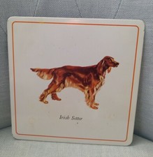 Vintage quadretto targa metallo cartone cane Irish Setter irlandese pro-tex USA