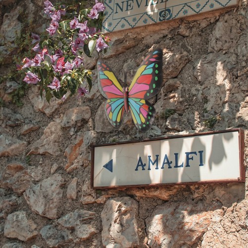 Arredamento delle farfalle di - ,